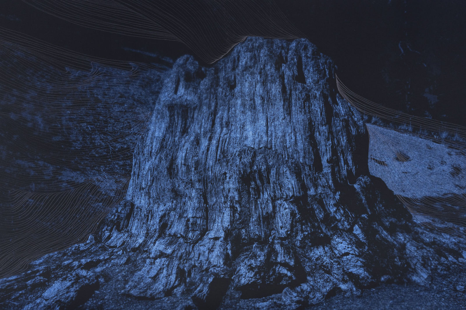 Morvarid K, Standing Still 5-6, 2026