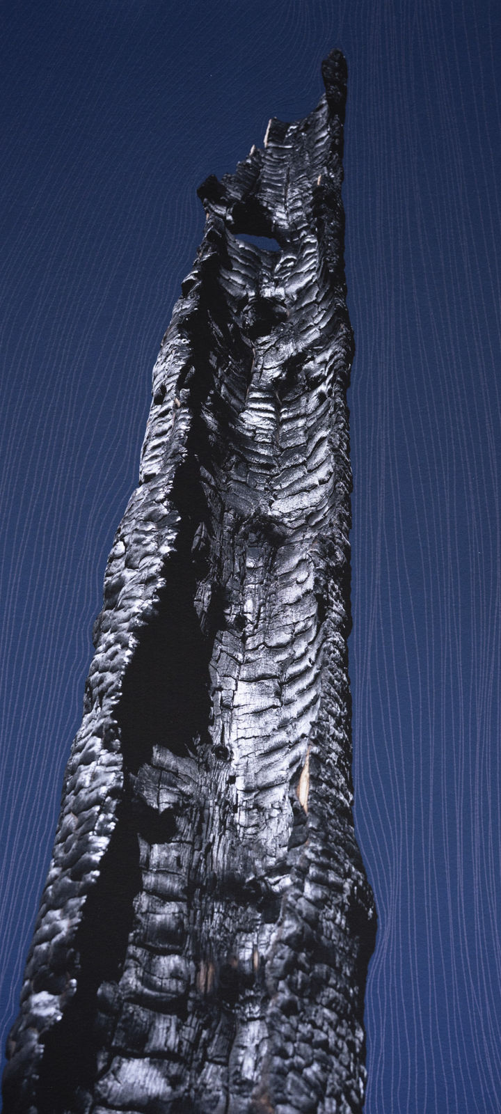 Morvarid K, Standing Still 10-4, 2026