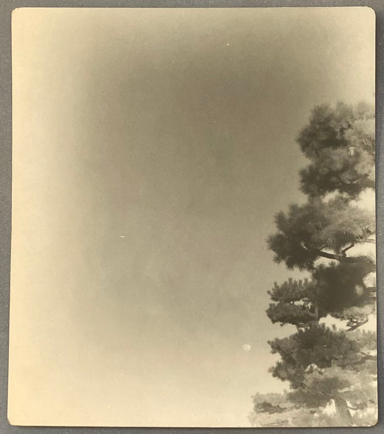 Miho Kajioka, #0075, 2018