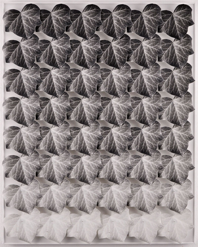 Norio Takasugi, Efeu 15-11G, 2017