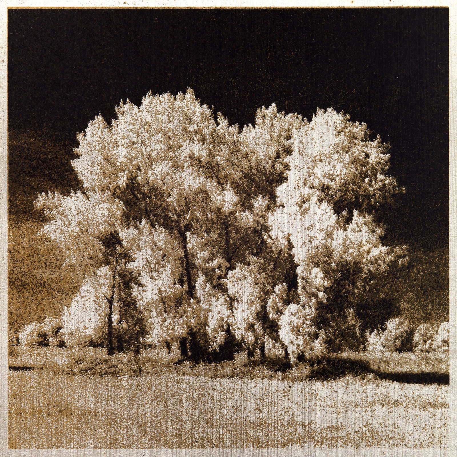 Norio Takasugi, jta-8, 2022