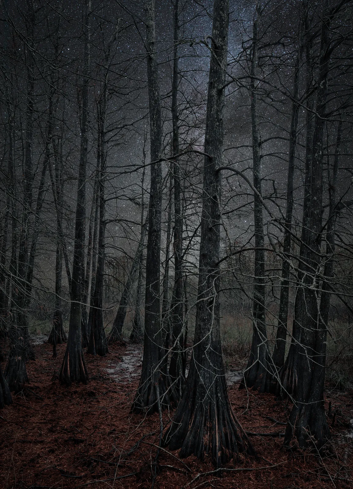 Thierry Cohen, Carbon Catchers no. 17