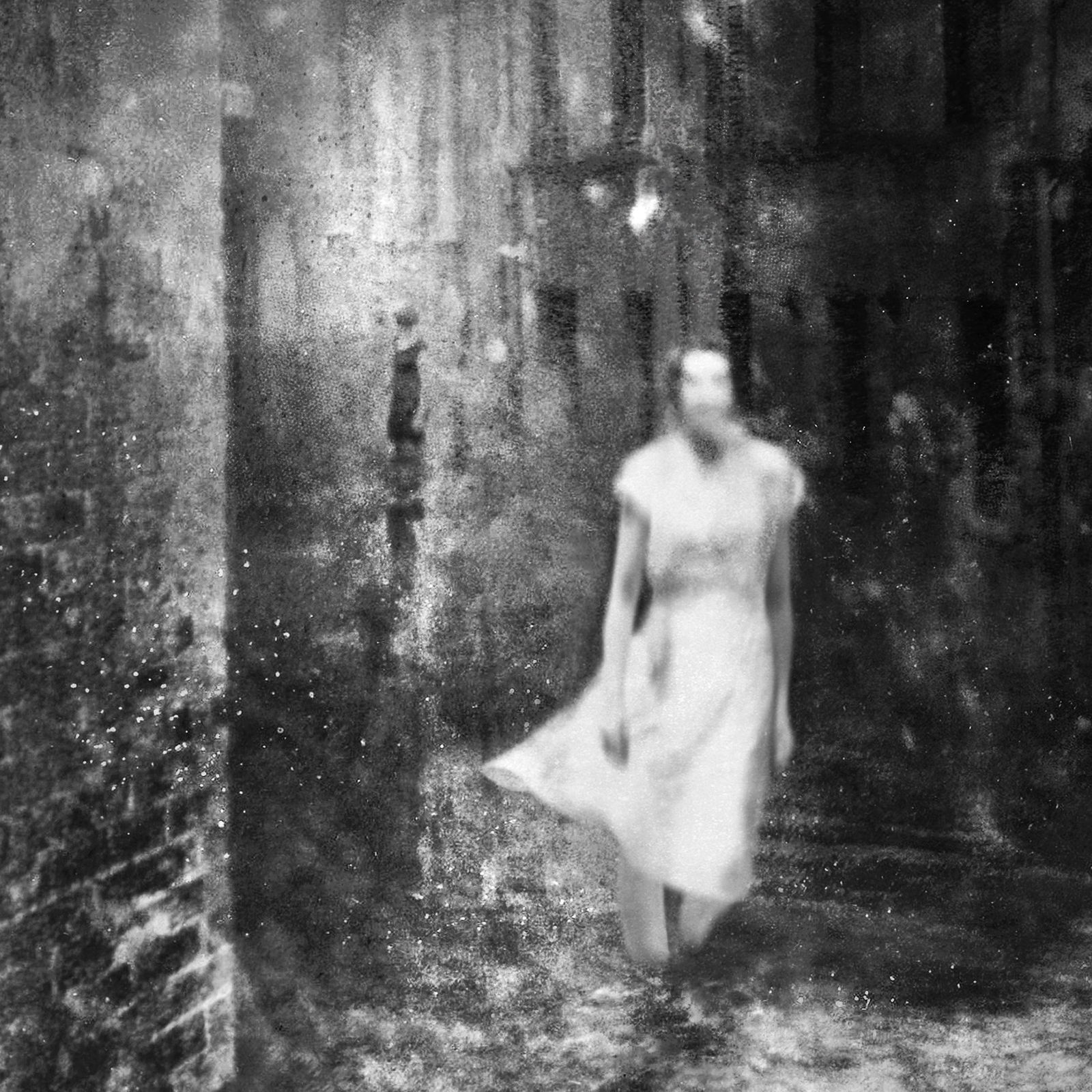 Hideyuki Ishibashi, Presage #24, 2019