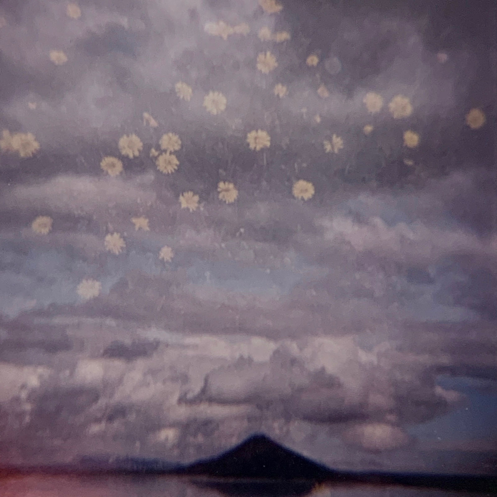 Sean Lotman, A storm of flowers, 2015