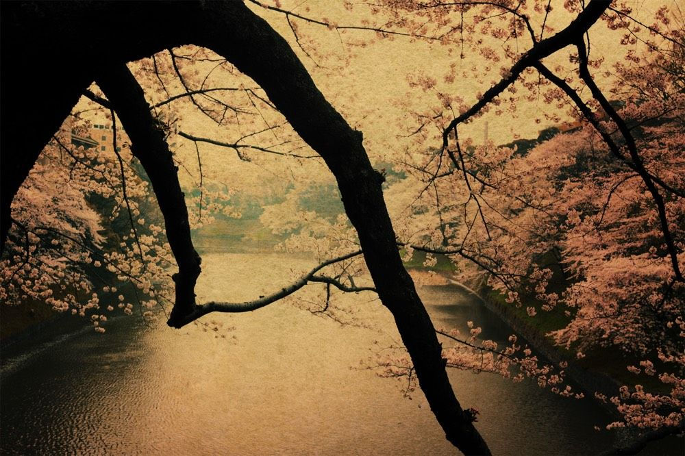 Albarrán Cabrera, The Mouth of Krishna #278, 2015