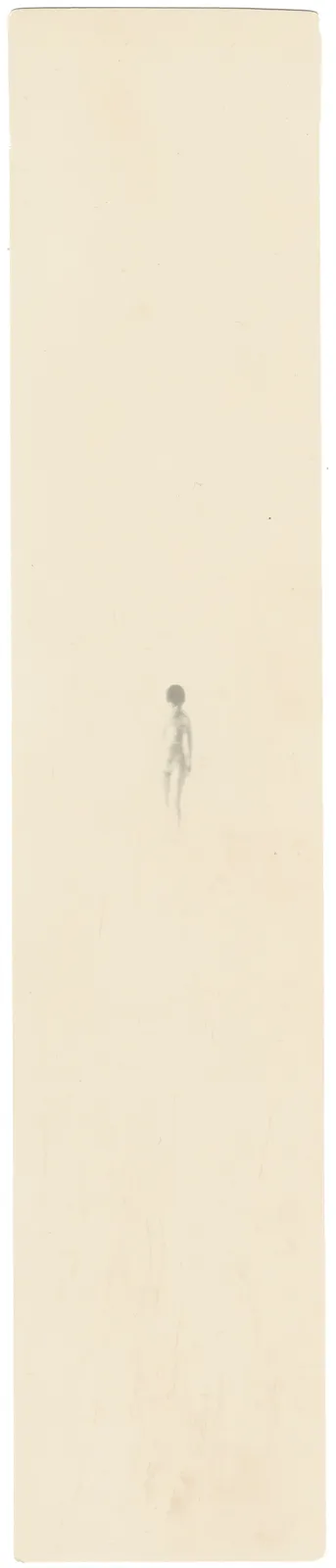 Miho Kajioka, #0055, 2019