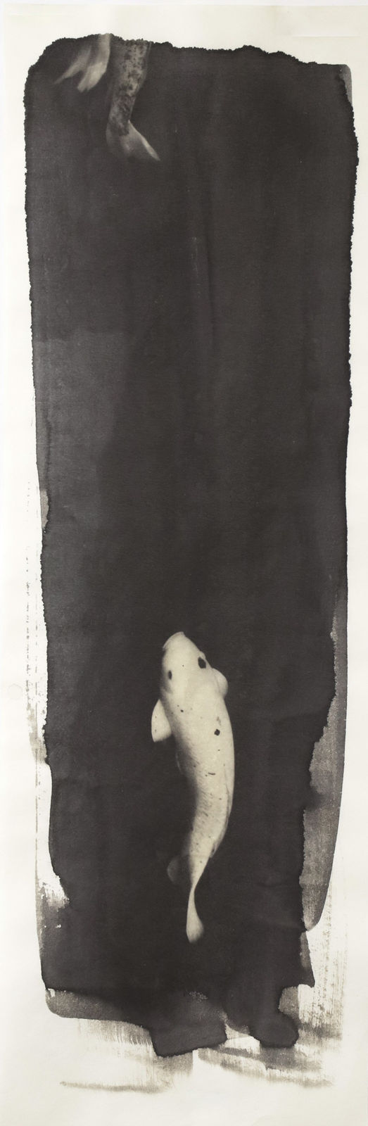 Naohiro Ninomiya, Nokomi-11, 2018