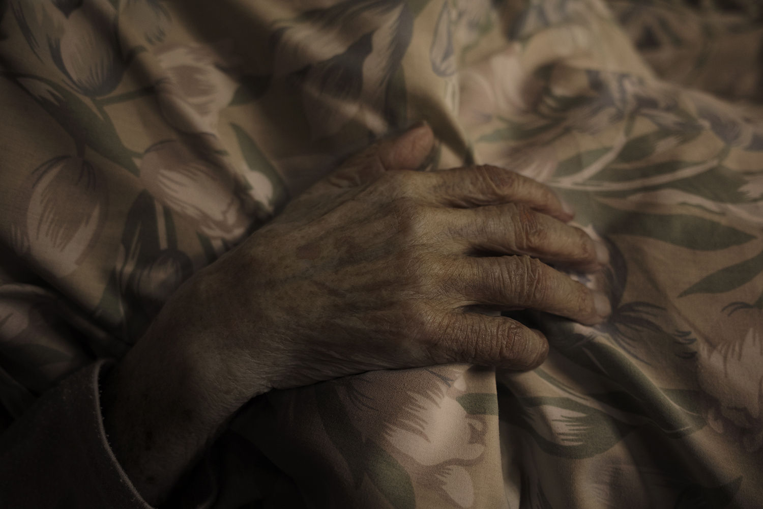 Shimpei Yamagami, Epiphany 7, 2018-2021