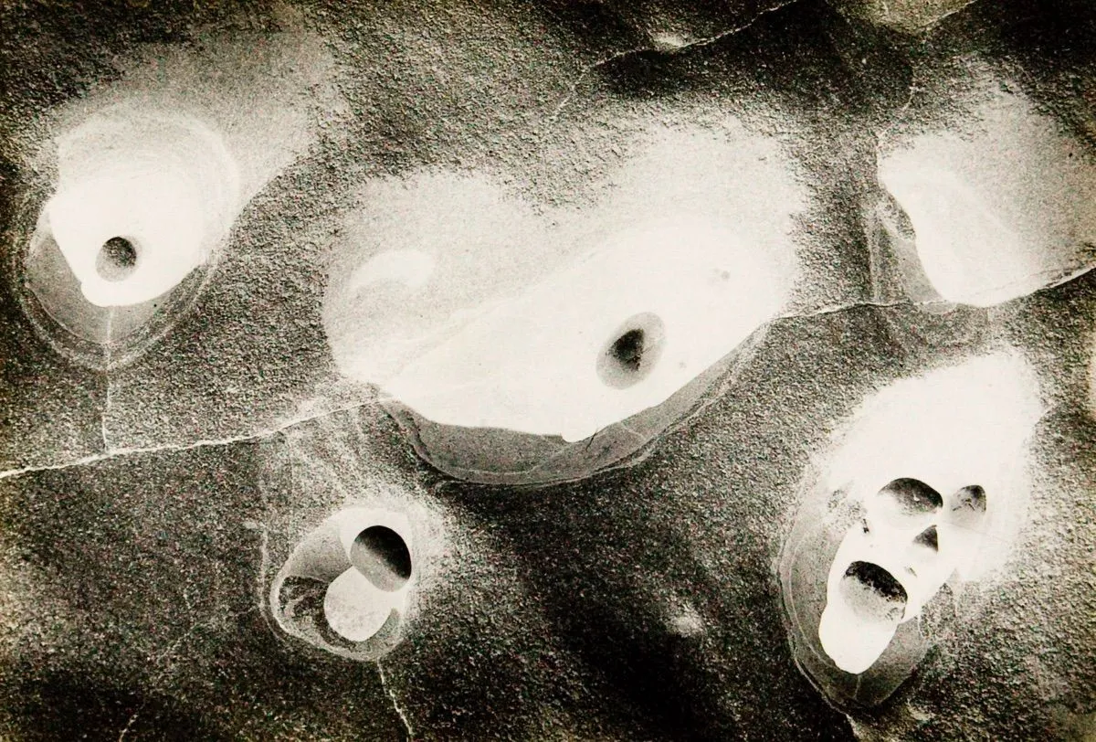 Wynn Bullock, Point Lobos, 1970