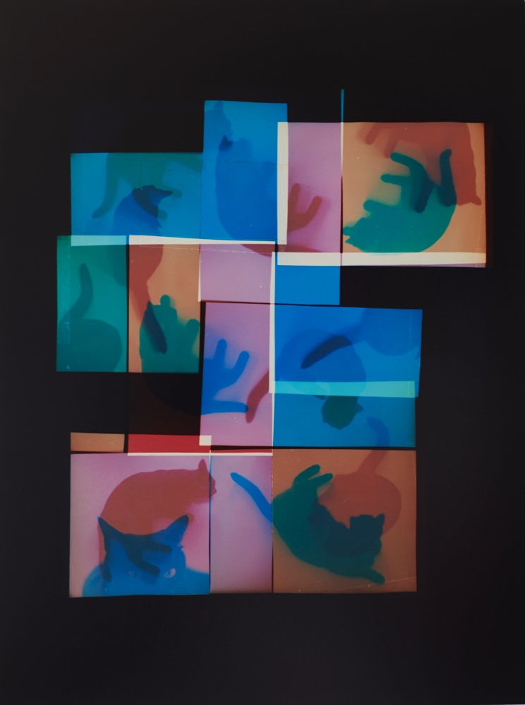 NEKO Project, Yuji Hamada - Untitled