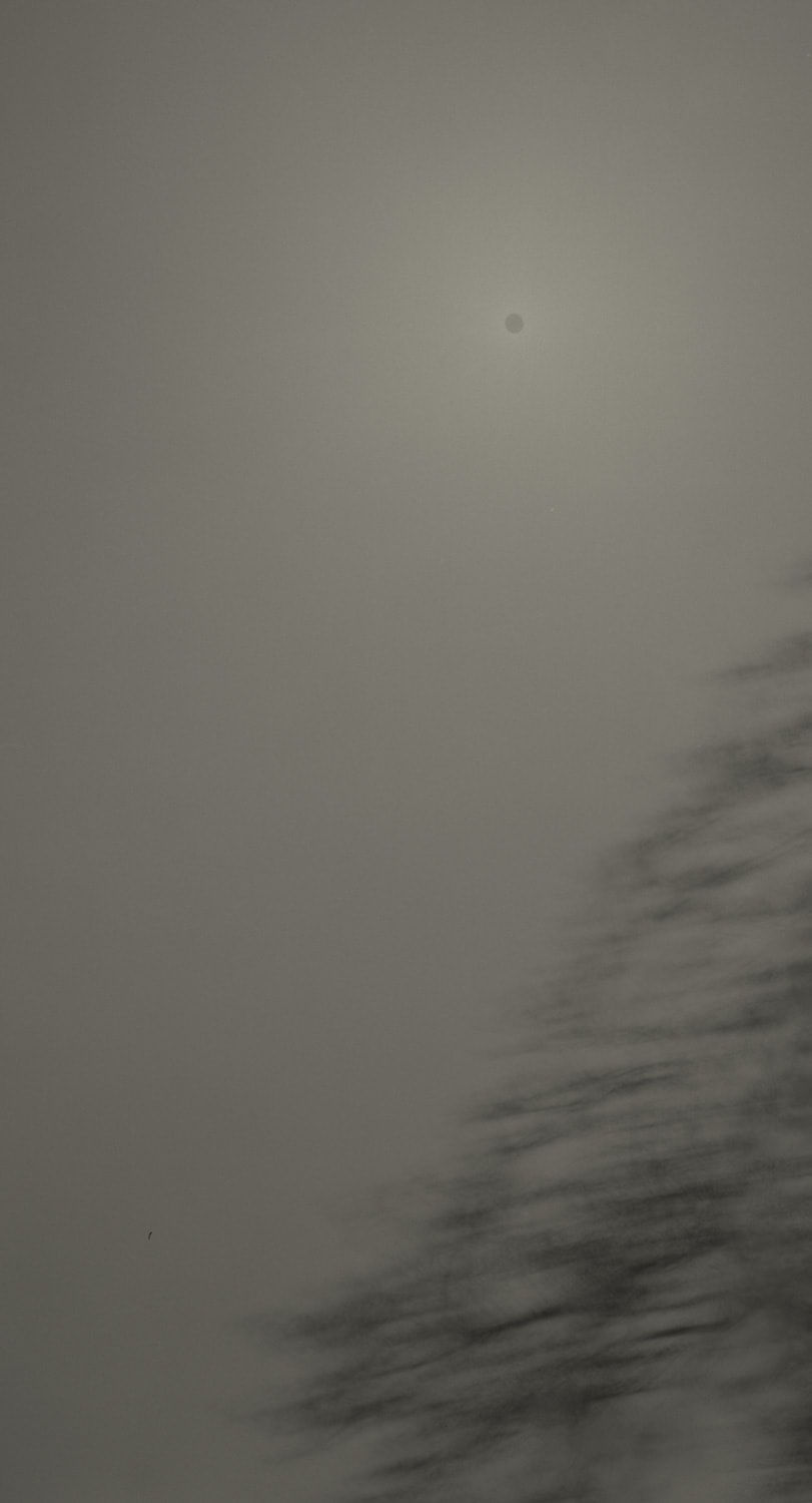 Keiichi Ito, F1363, 2019