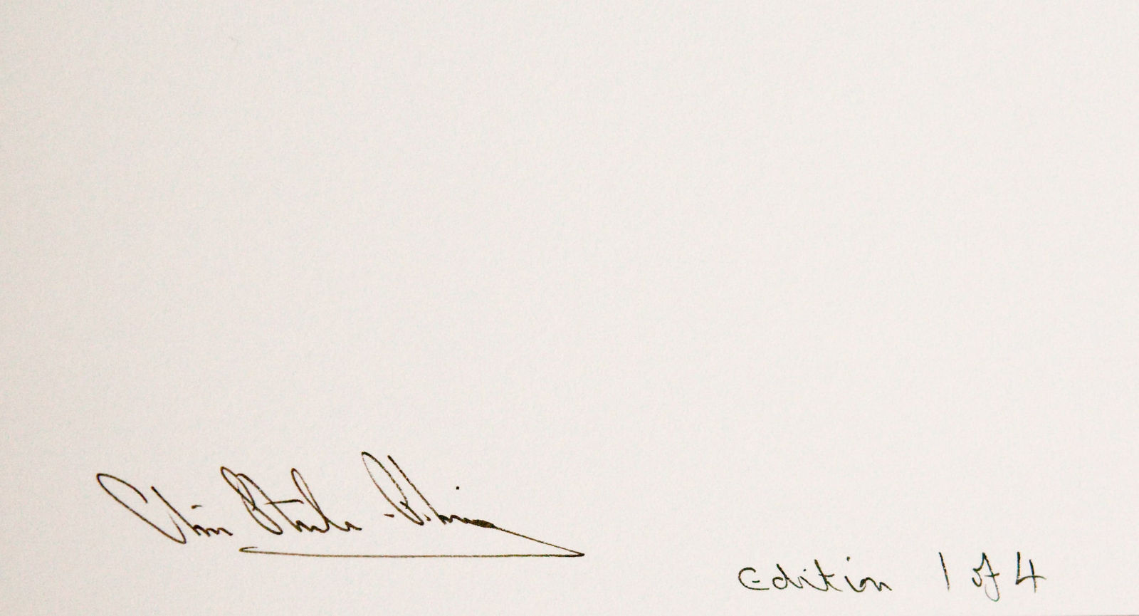 Chris Steele-Perkins, Carp Banners, Izu Peninsula, from the series Fuji 1999-2001, 1999