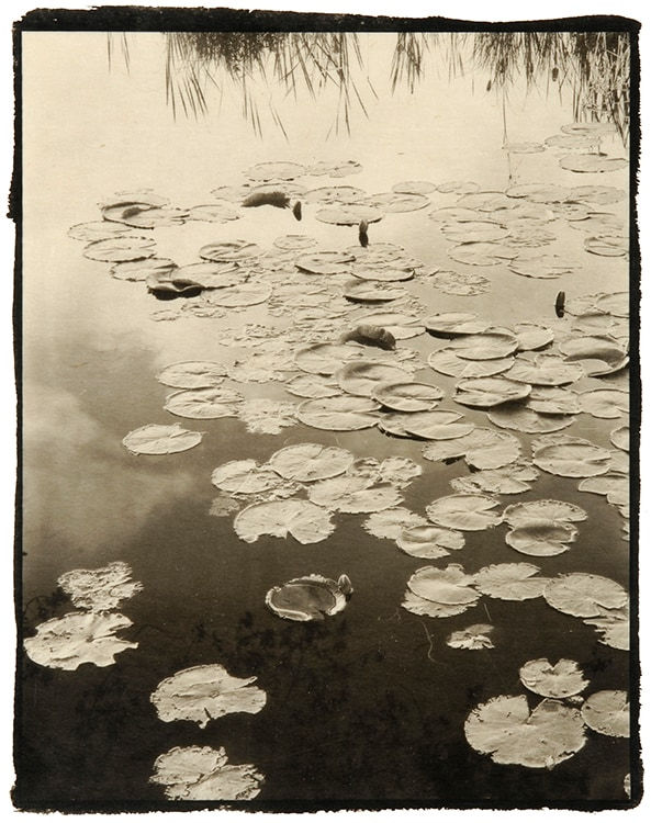 Nobuyuki Kobayashi, hasu, 2001