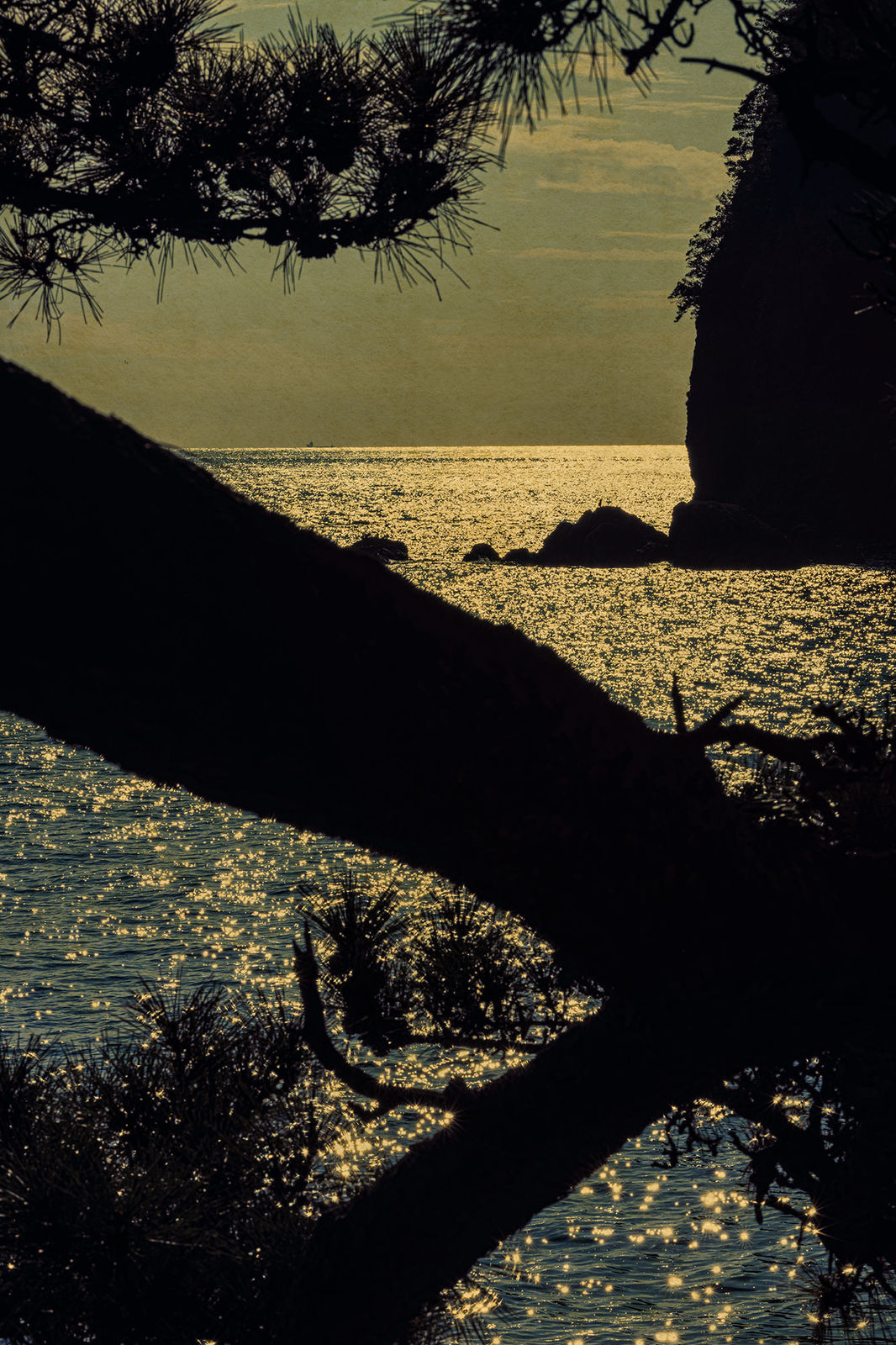 Albarrán Cabrera, The Mouth of Krishna #871, 2019/2023