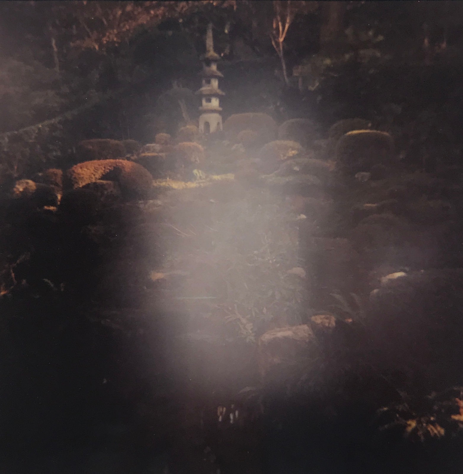 Sean Lotman, Meditation interrupted, 2008