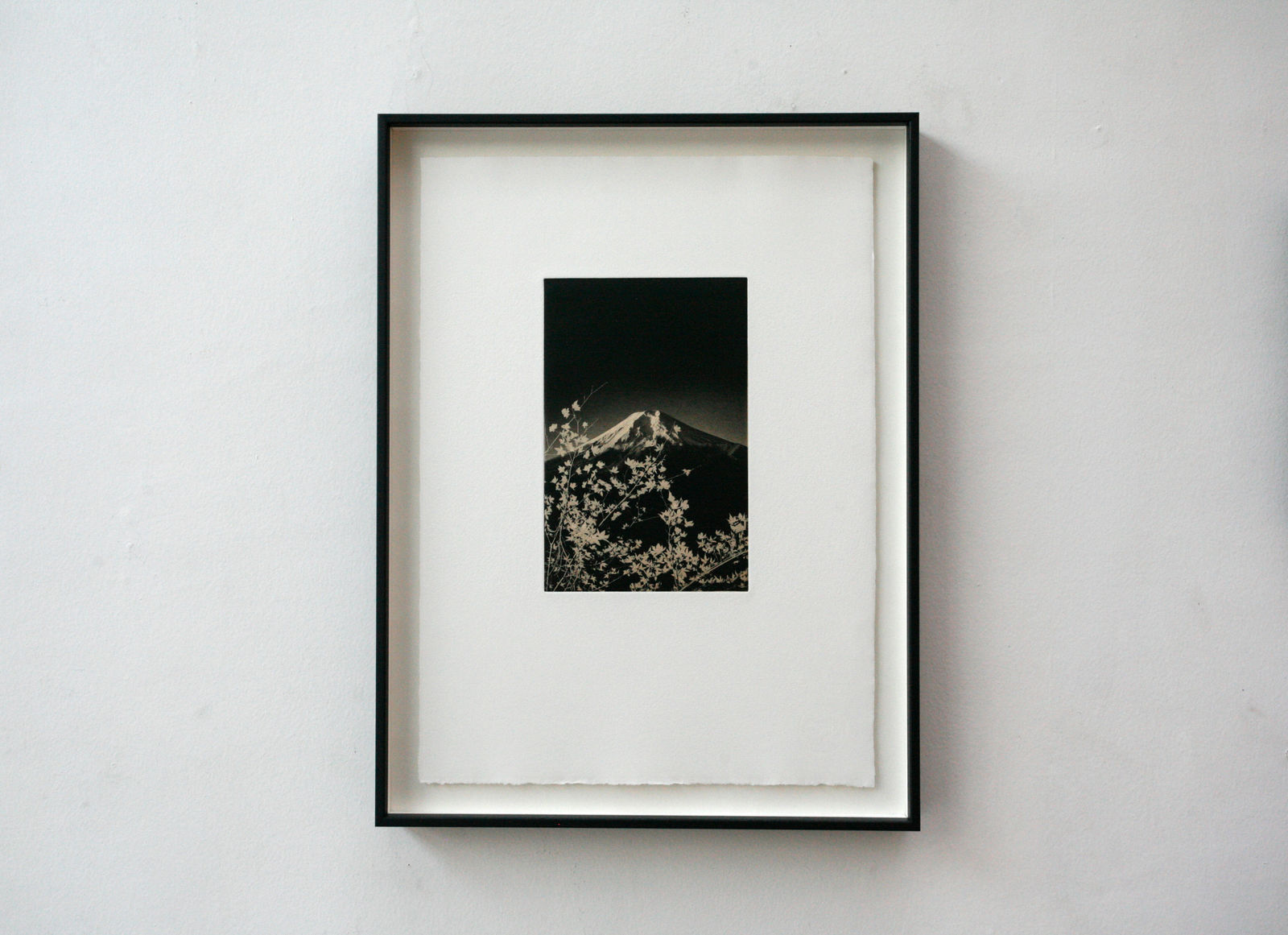 Paul Cupido, Fuji #3, 2019