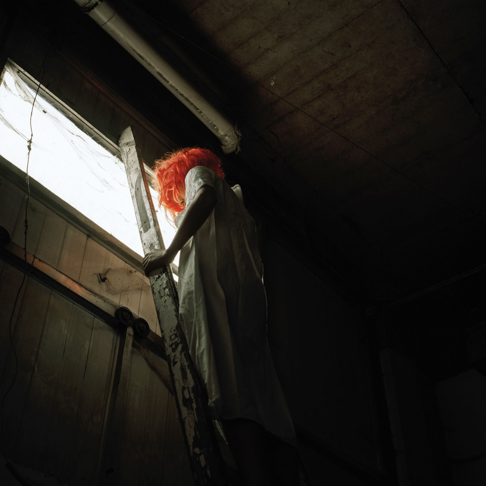 Kumi Oguro, Orange, 2021