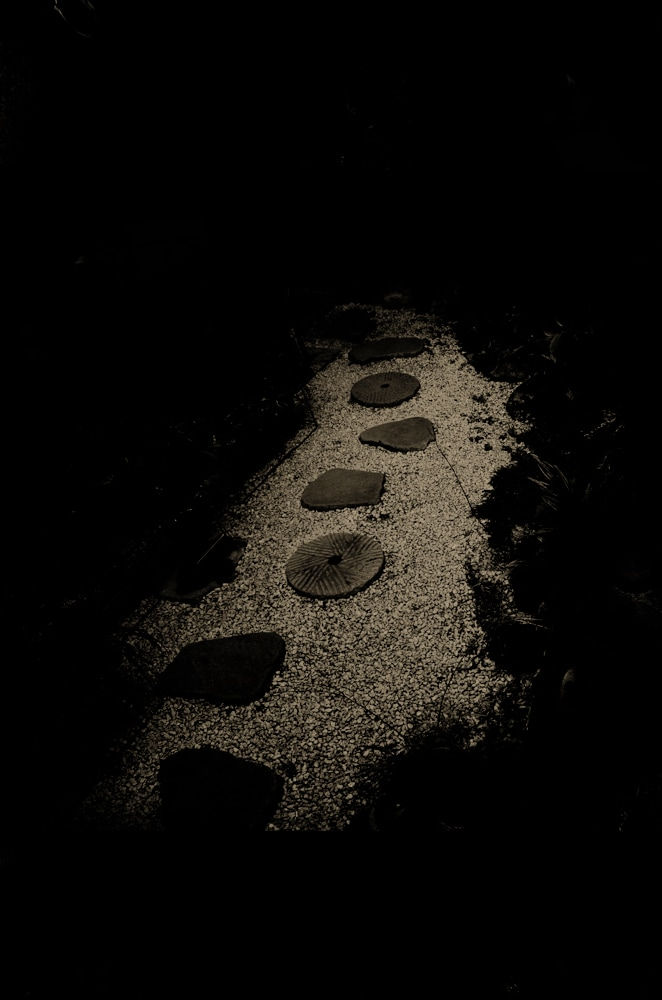 Paul Cupido, Zen Niwa, 2018