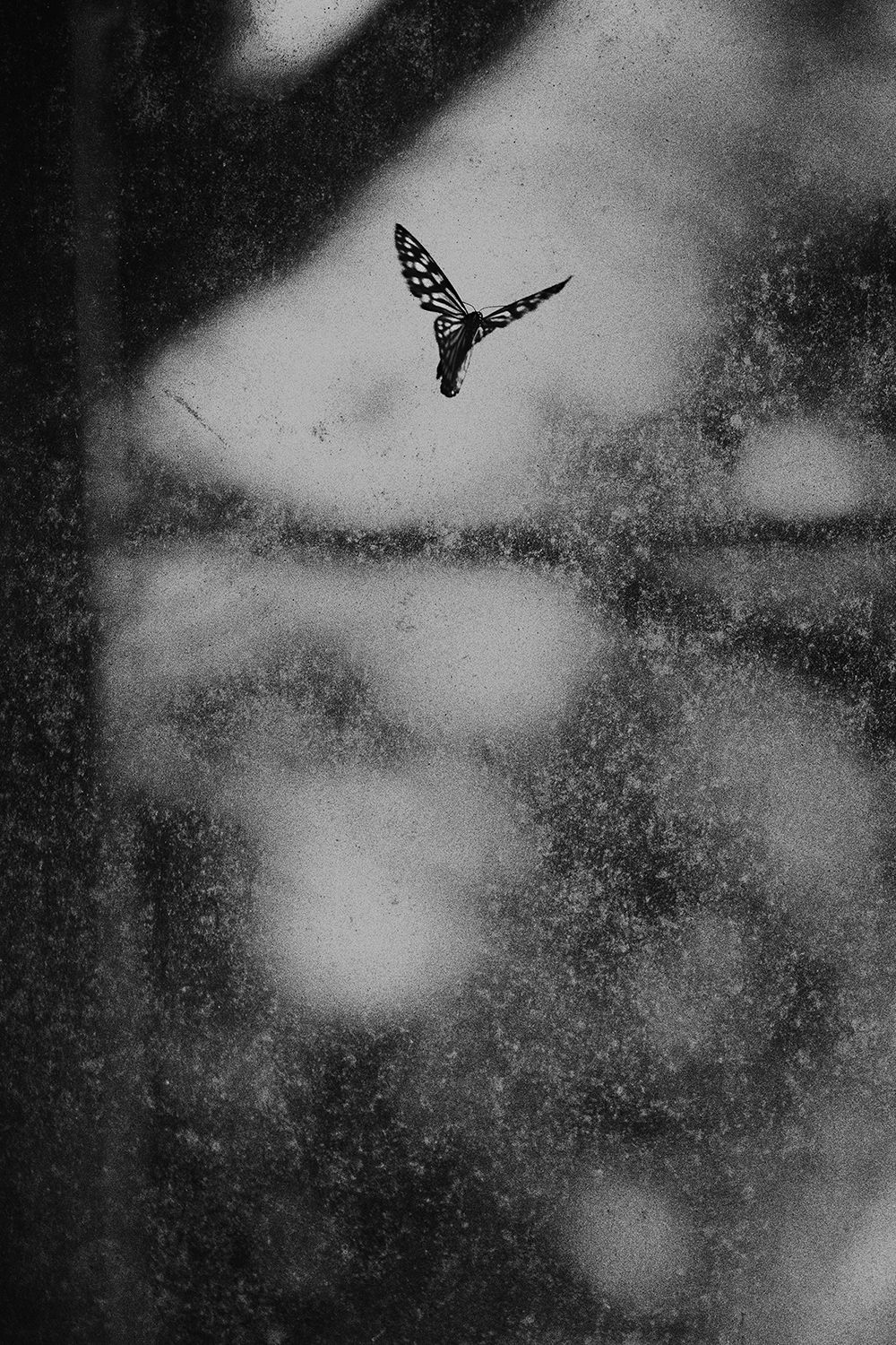 Shimpei Yamagami, Epiphany 34, 2018-2021