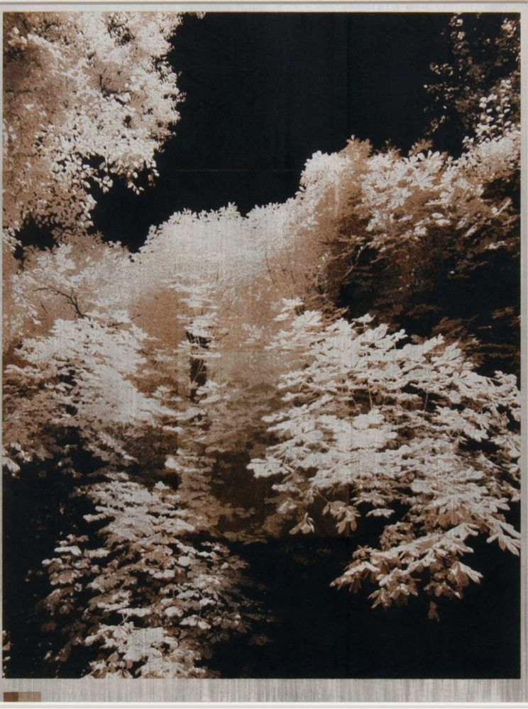 Norio Takasugi, 2-7-br, 2018