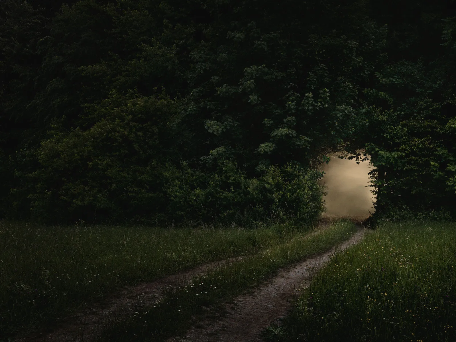 Christopher Thomas, Bittersweet 79, 2006