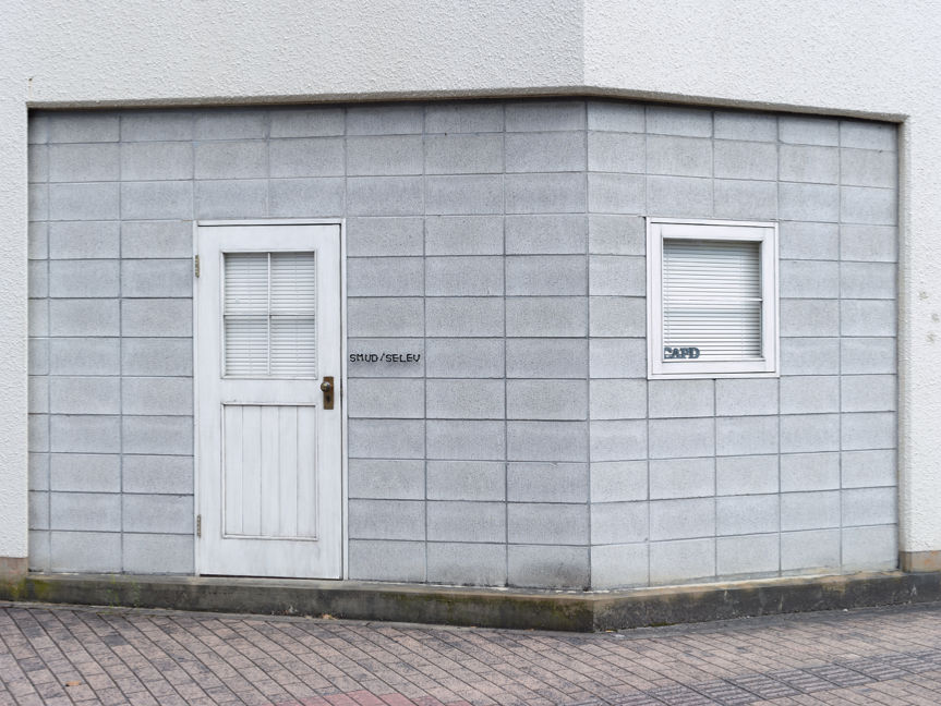 Bert Danckaert, True Nature #118 (Hiroshima), 2019