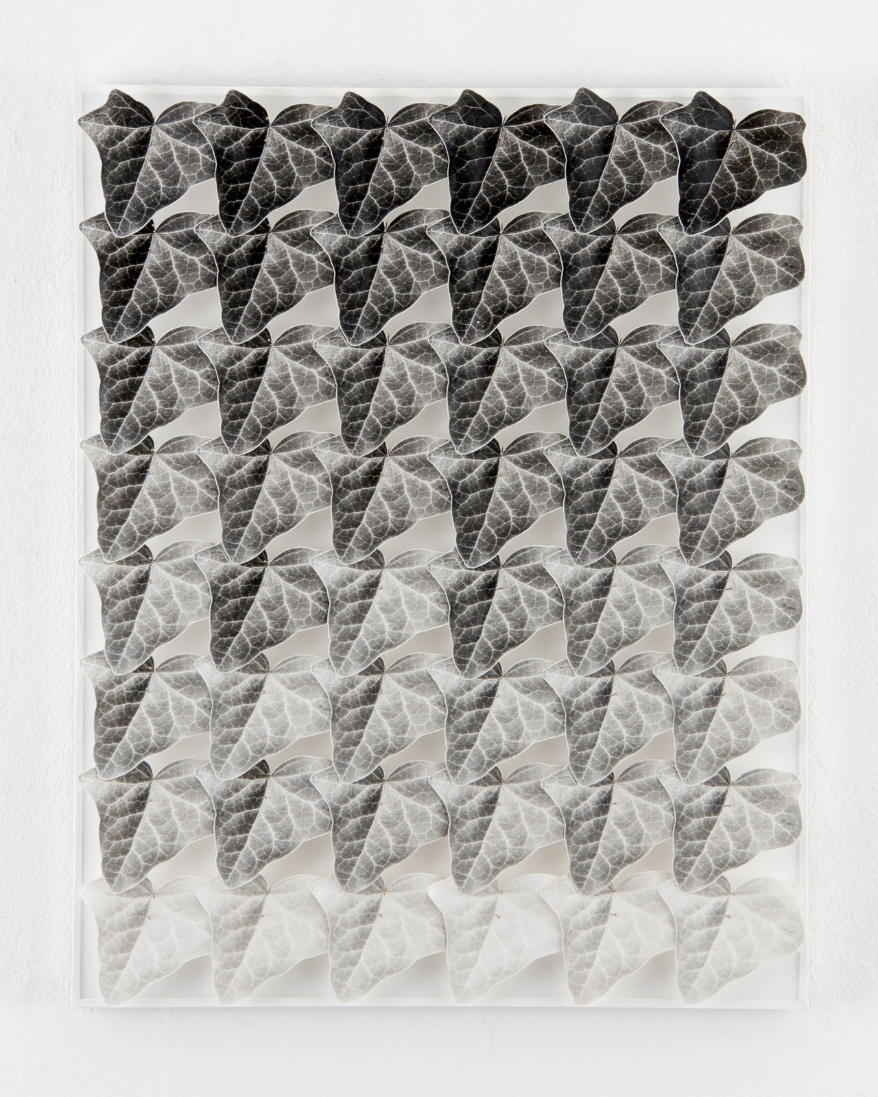 Norio Takasugi, Efeu 8-3, 2016