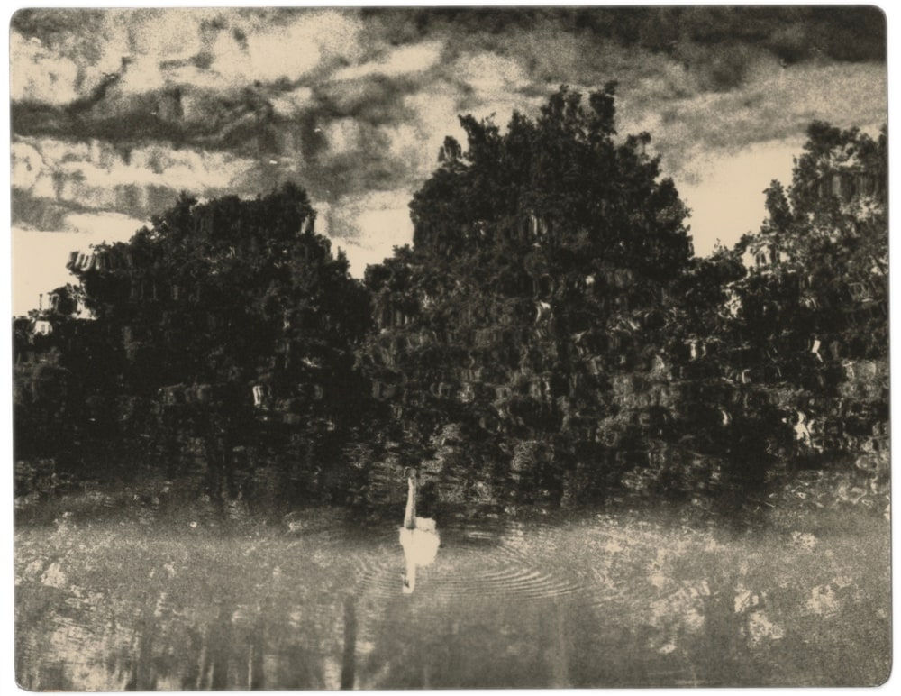 Miho Kajioka, BK0615, 2018