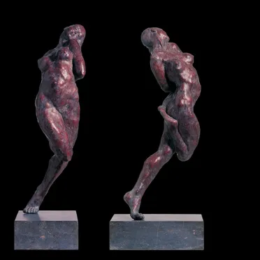 Joris Verdonkschot, Le rêve d'un curieux