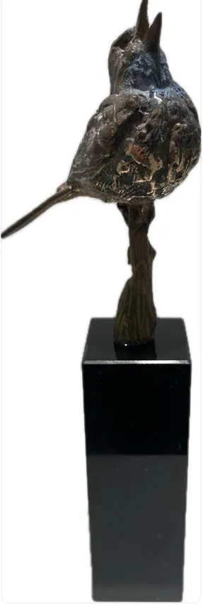 Henri Poppelaars, Blauwborst