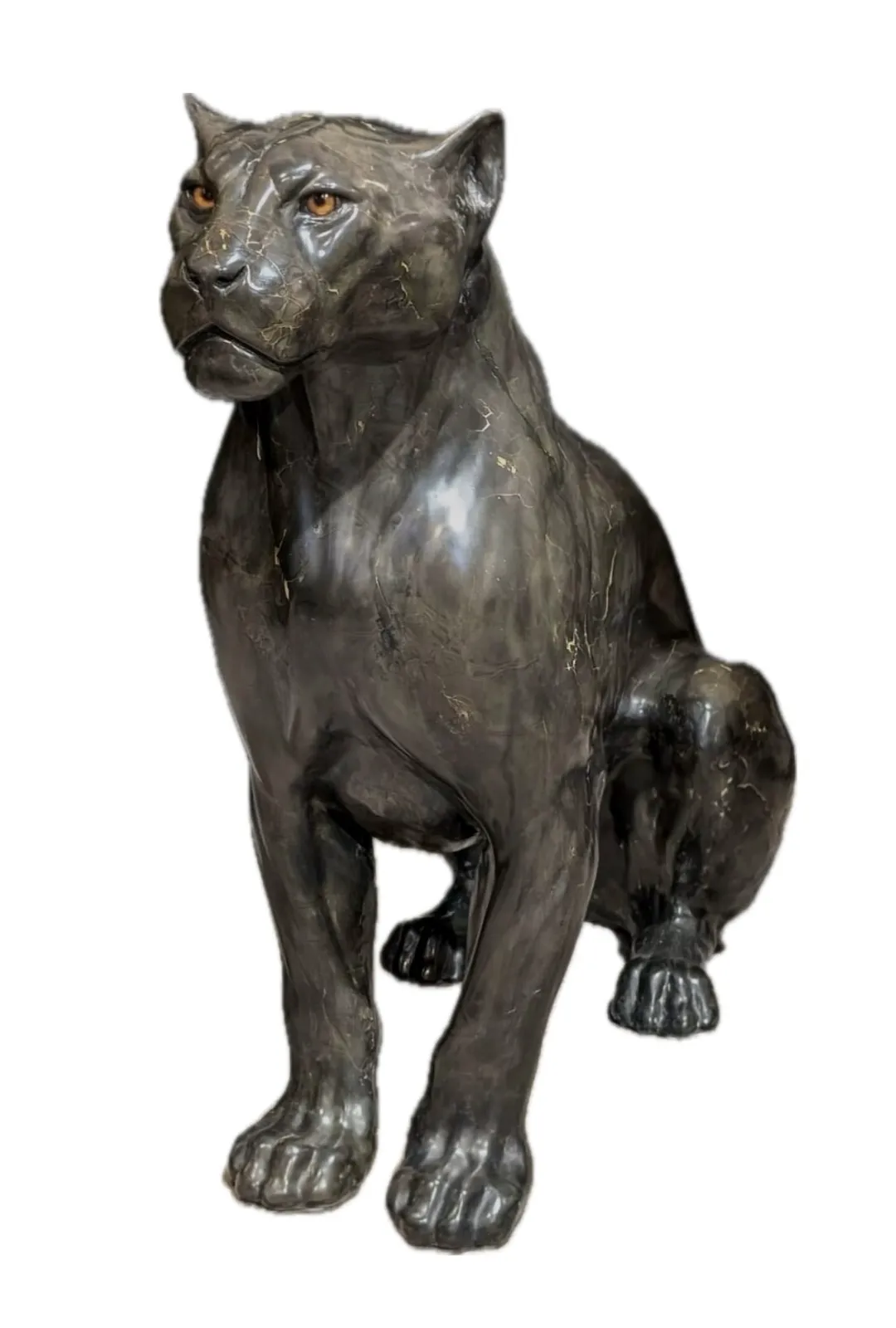 Chris Tap, Zittende Jaguar