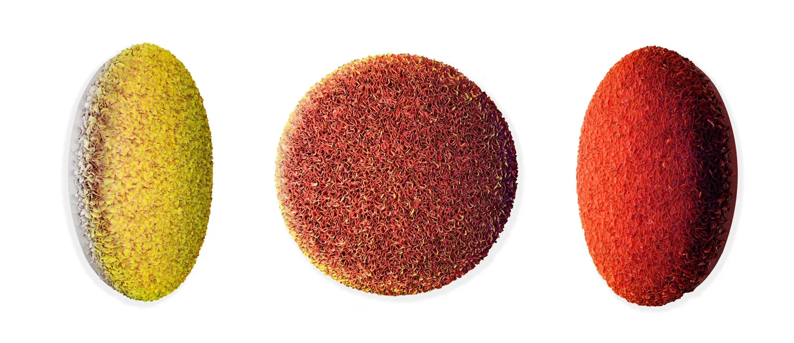 Zhuang Hong-yi, At Sunset, 2022