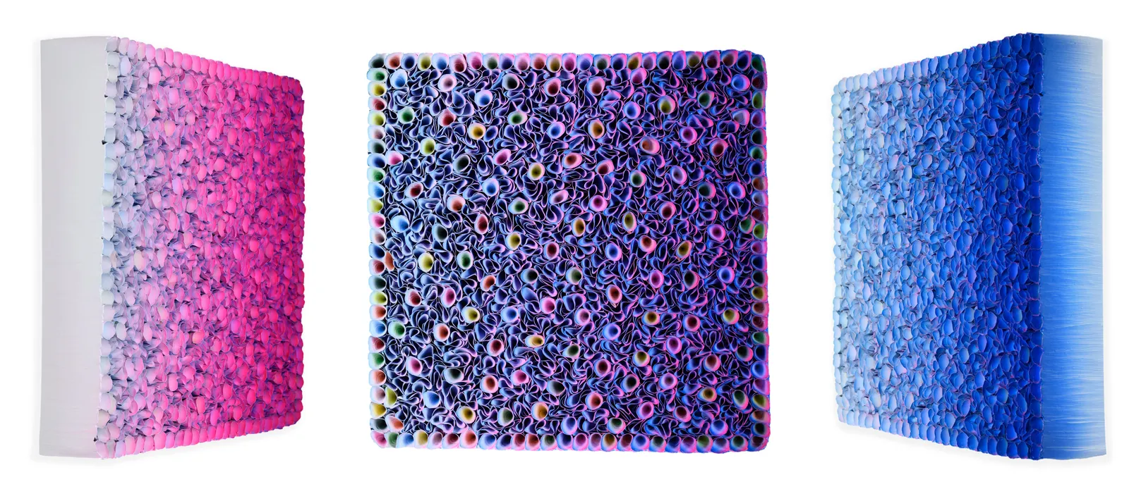 Zhuang Hong-yi, Bright Day, 2024