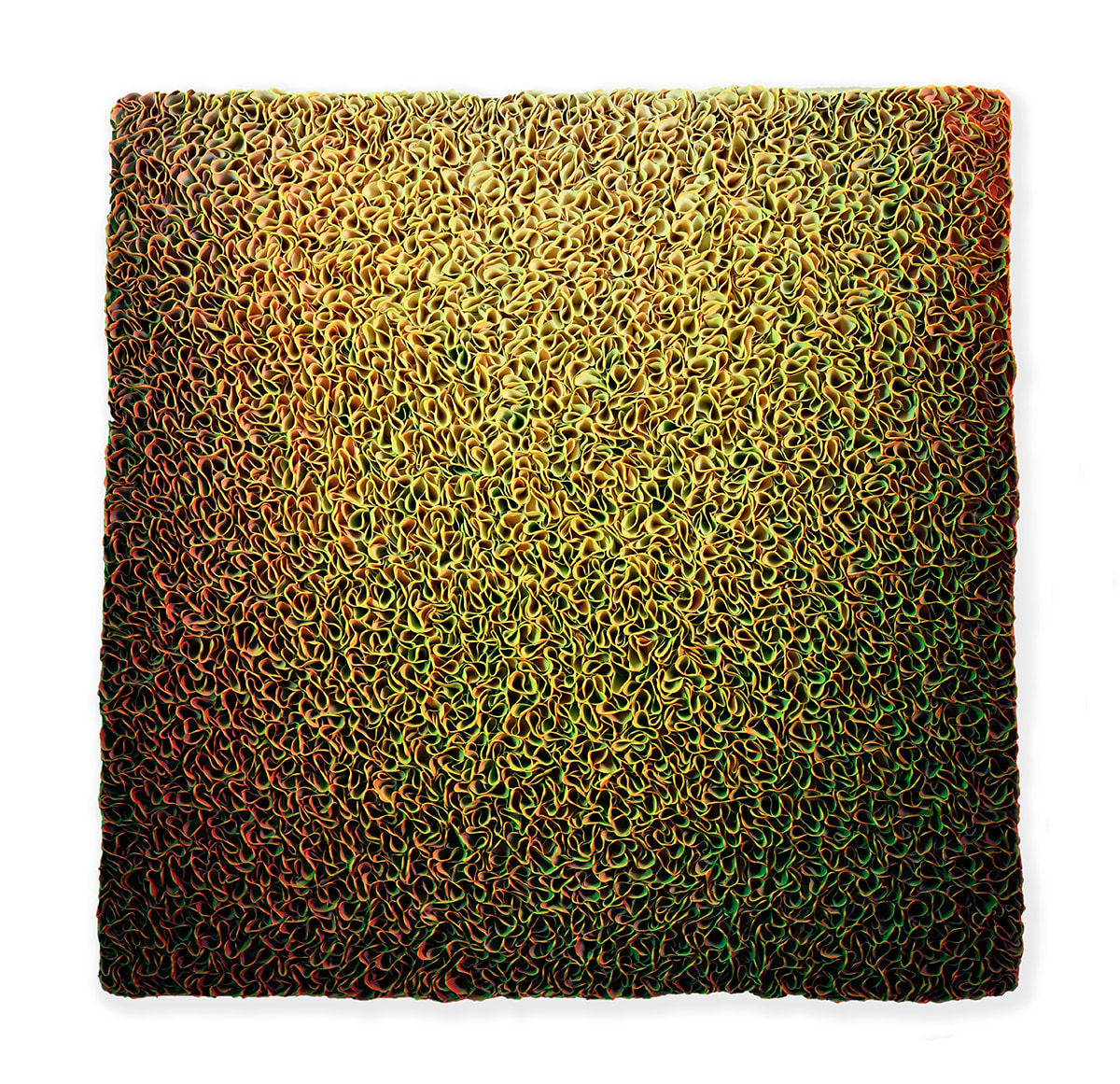 Zhuang Hong-yi, Rise, 2024