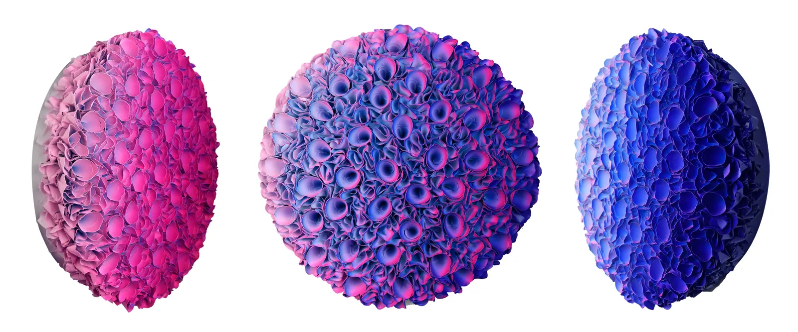 Zhuang Hong-yi, Youth, 2022