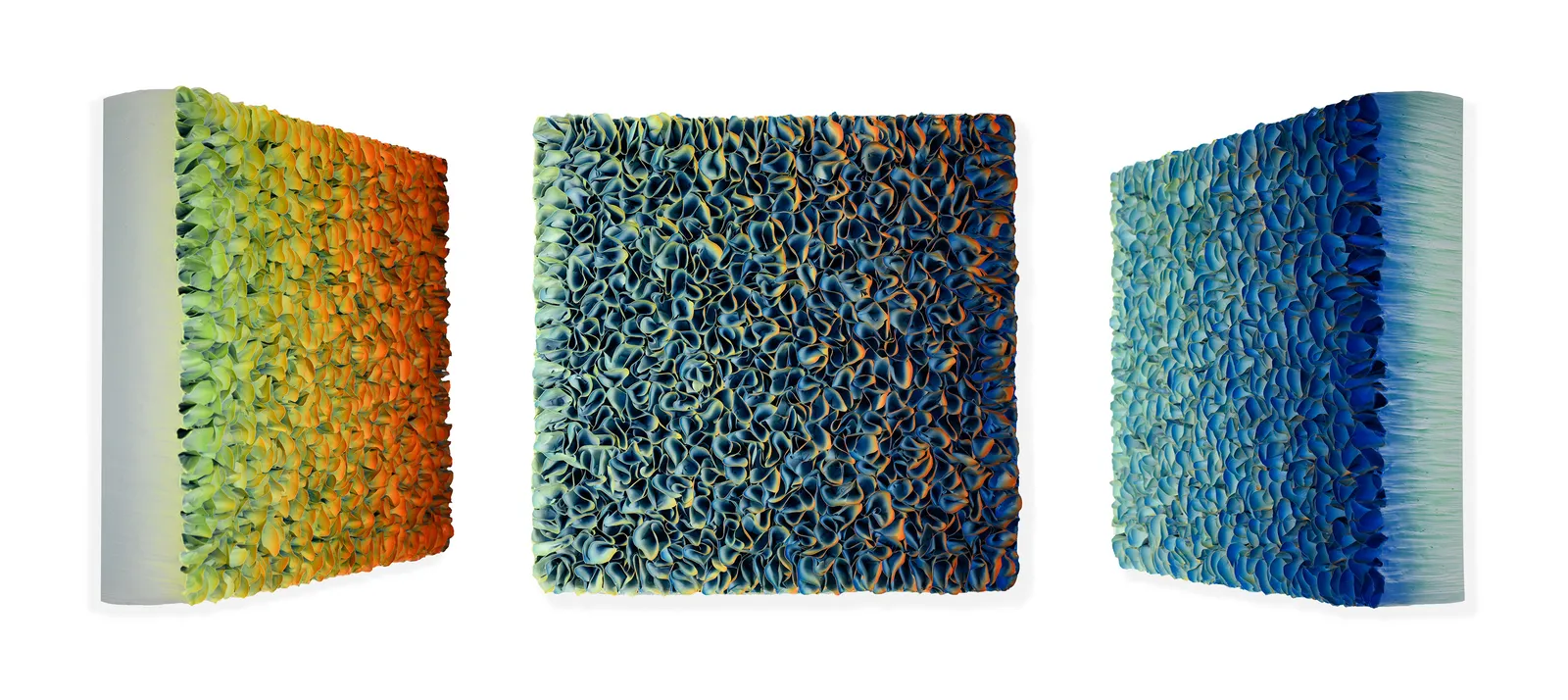 Zhuang Hong-yi, Horizon