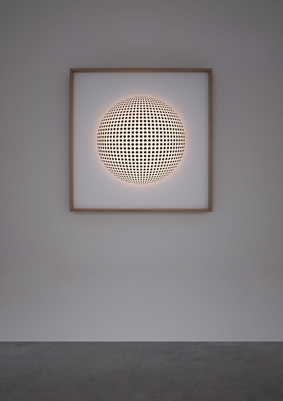 Todd & Fitch, Edition DB0, 2021