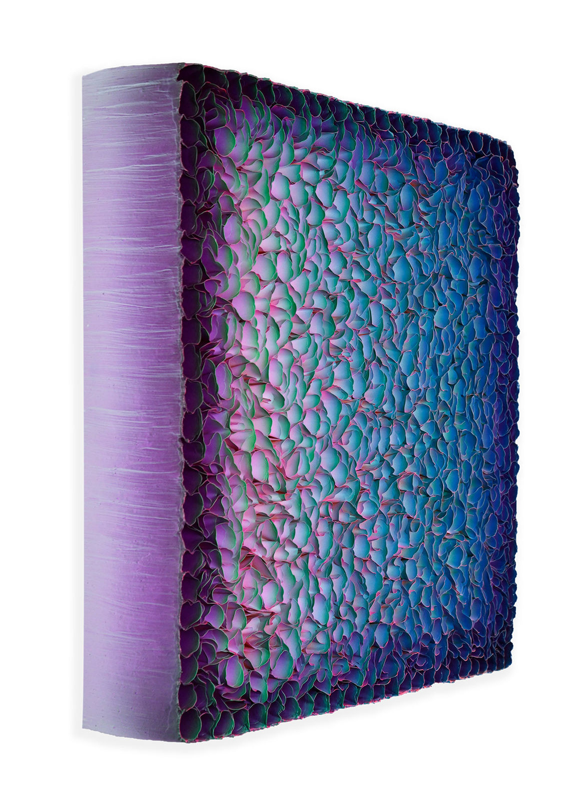 Zhuang Hong-yi, Beautiful Sight, 2024