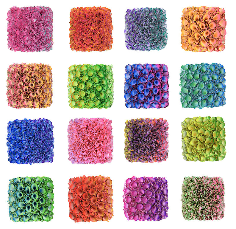 Zhuang Hong-yi, Mini Series