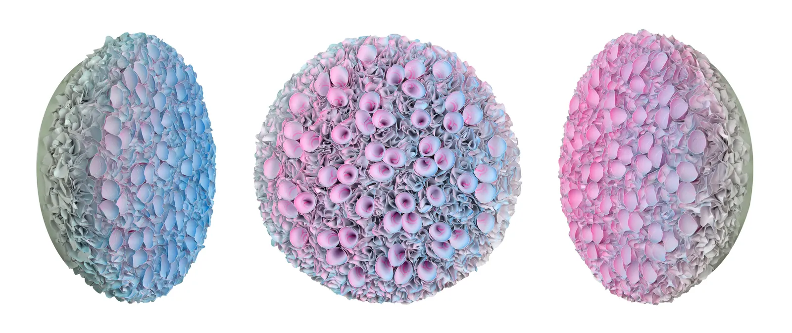 Zhuang Hong-yi, Nostalgia, 2022