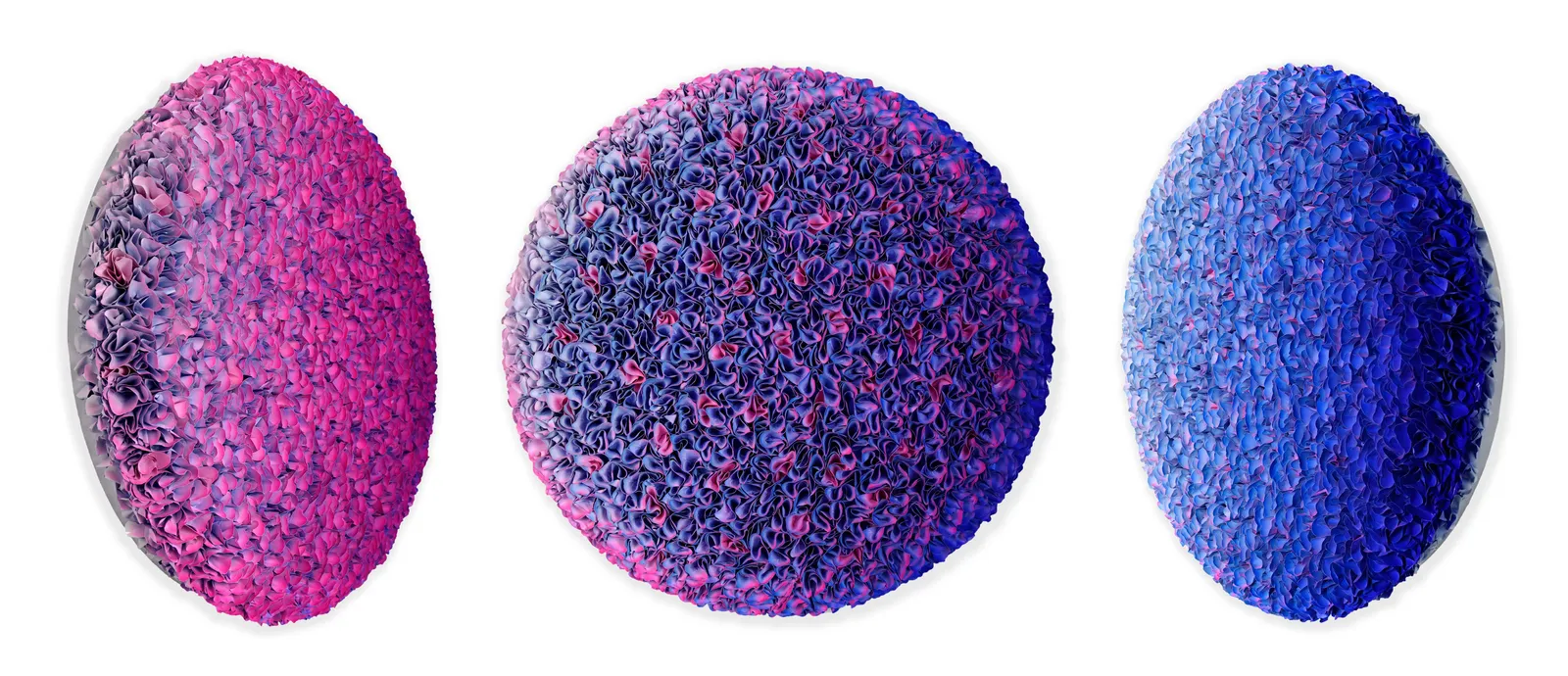 Zhuang Hong-yi, Subtle, 2023