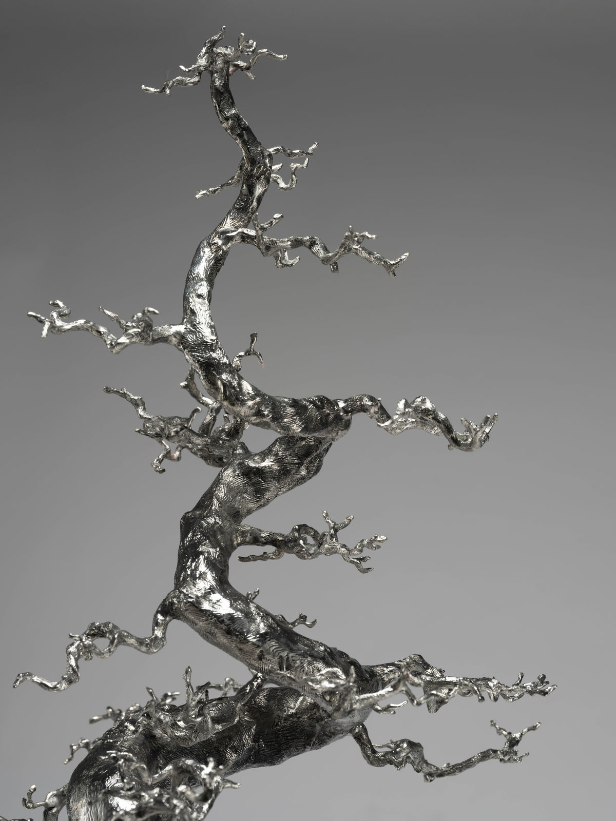 Zhuang Hong-yi, Here I Stand, Rooted, 2024