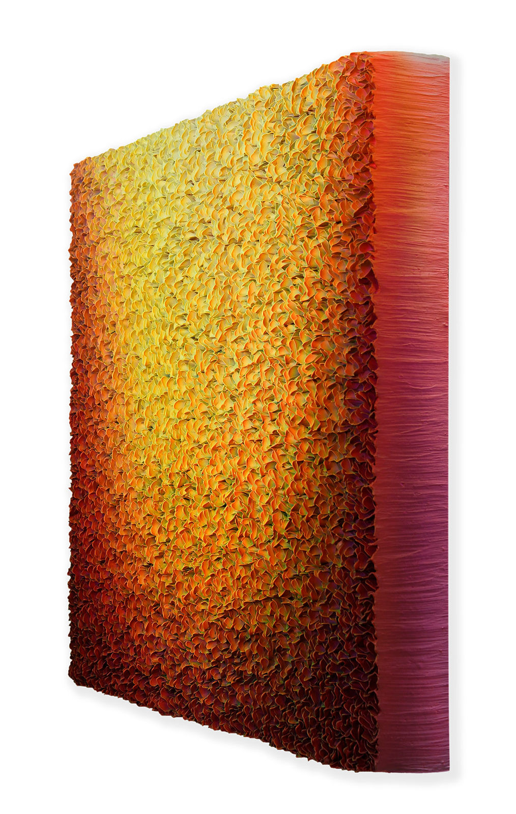 Zhuang Hong-yi, Rise, 2024