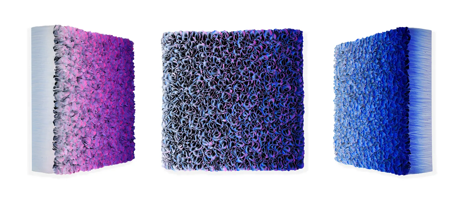 Zhuang Hong-yi, Expansion