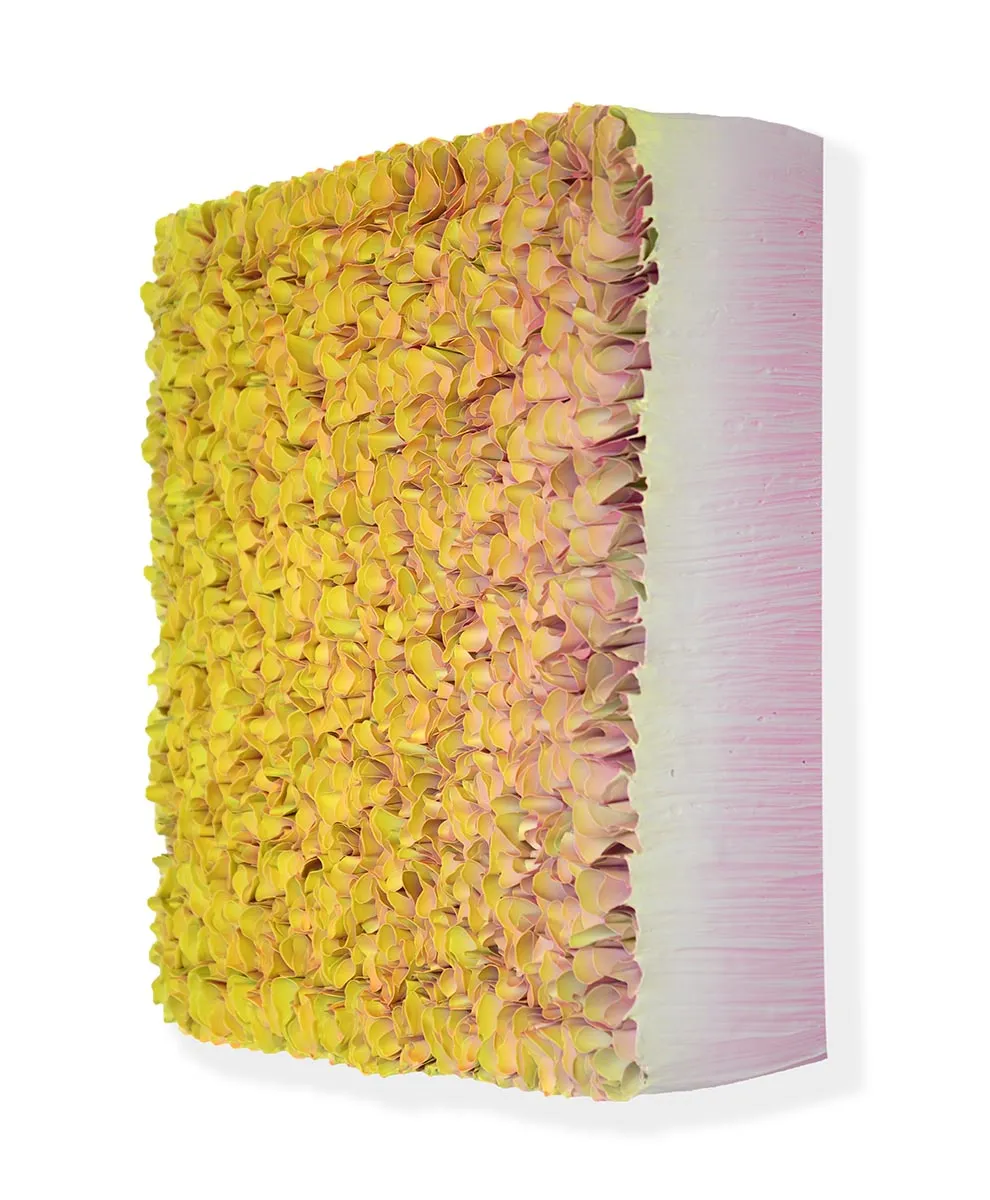 Zhuang Hong-yi, Desert Skies