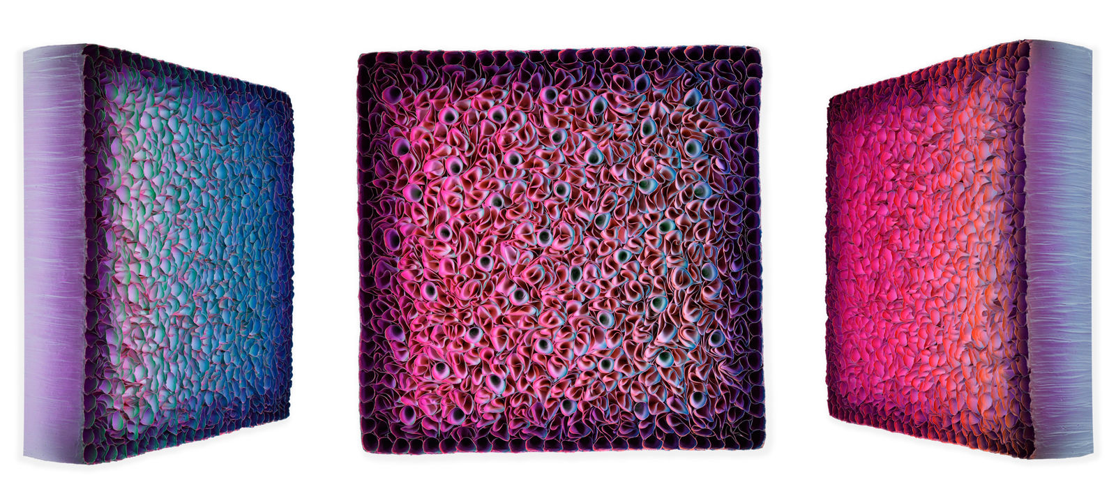 Zhuang Hong-yi, Beautiful Sight, 2024