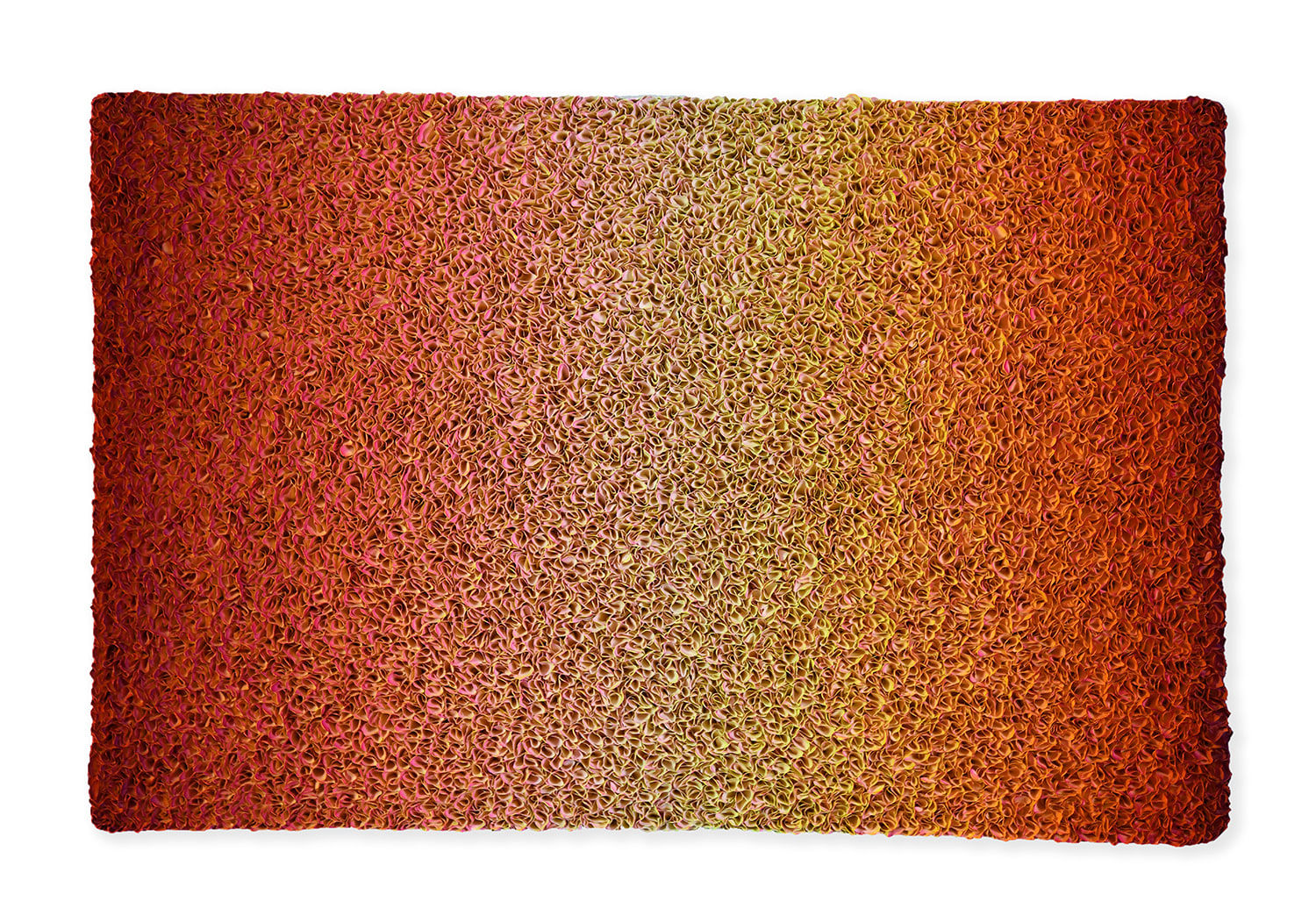 Zhuang Hong-yi, Incandescence, 2024