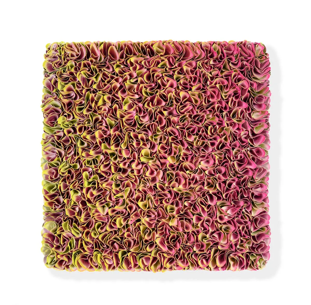 Zhuang Hong-yi, Desert Skies