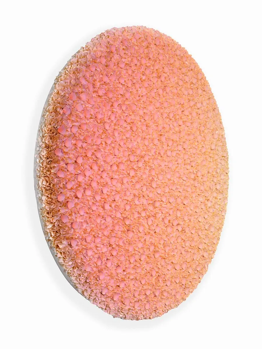 Zhuang Hong-yi, Cherry Sunset