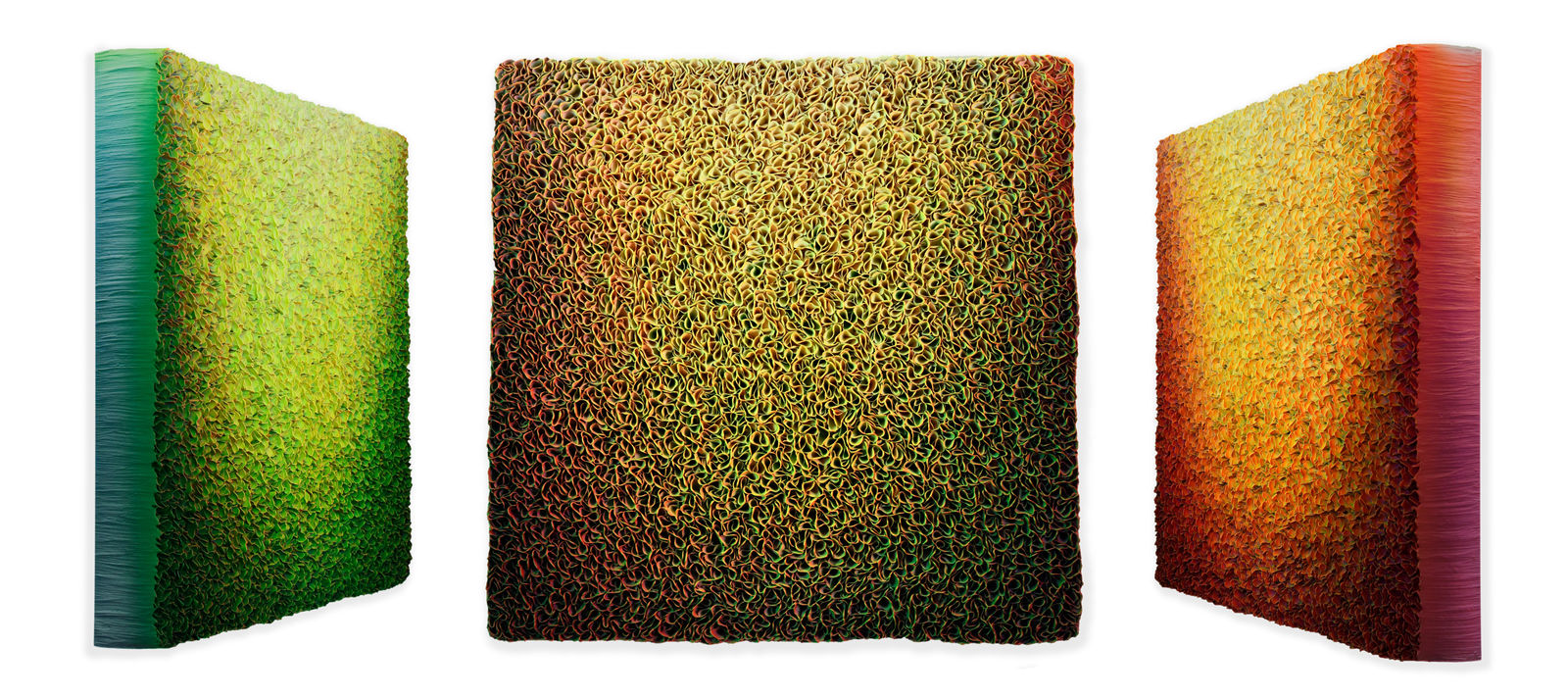 Zhuang Hong-yi, Rise, 2024